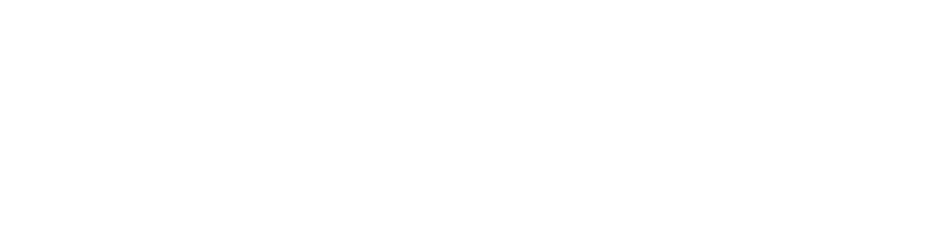 Cleverus